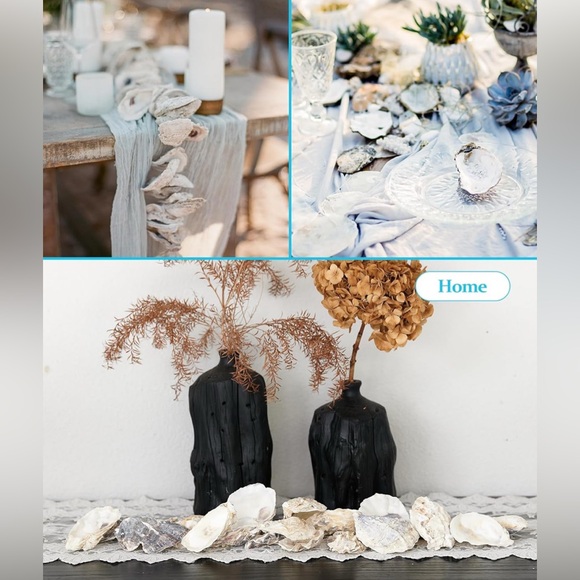 Natural Alaskan Oyster Shells- clear glazed & glossy - Picture 4 of 12